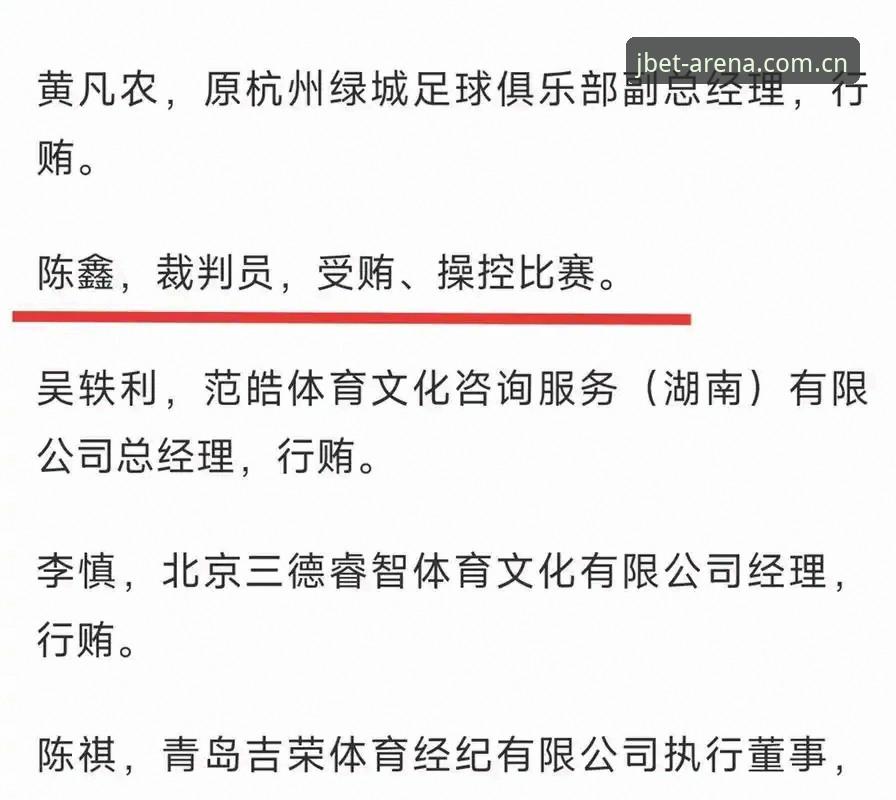 足协第三批禁足名单深度解读：从判决看足球反腐的实用指南